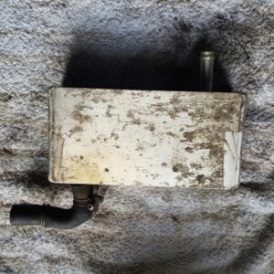 Gilera Saturno (Japan): Motorentlüftung/Ölabscheider