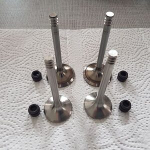 Gilera Saturno 500 cc, alle BI4 500/560 cc: Tuningventile mit 38/33 mm Tellerdurchmesser